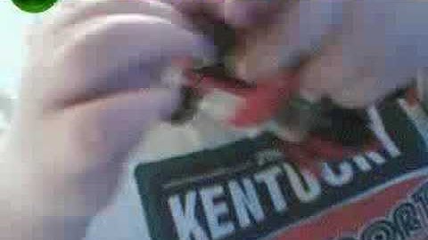 Transformers Alternator Windcharger Review