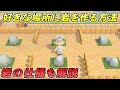 【あつ森攻略】好きな場所に岩を出現させる方法　鉄鉱石、金鉱石集めに便利【あつまれ どうぶつの森】