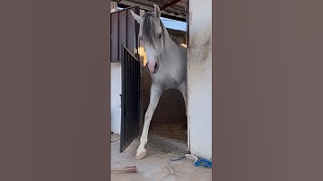 Full Twist Mode 🥰wait for twist😎#funny2025
