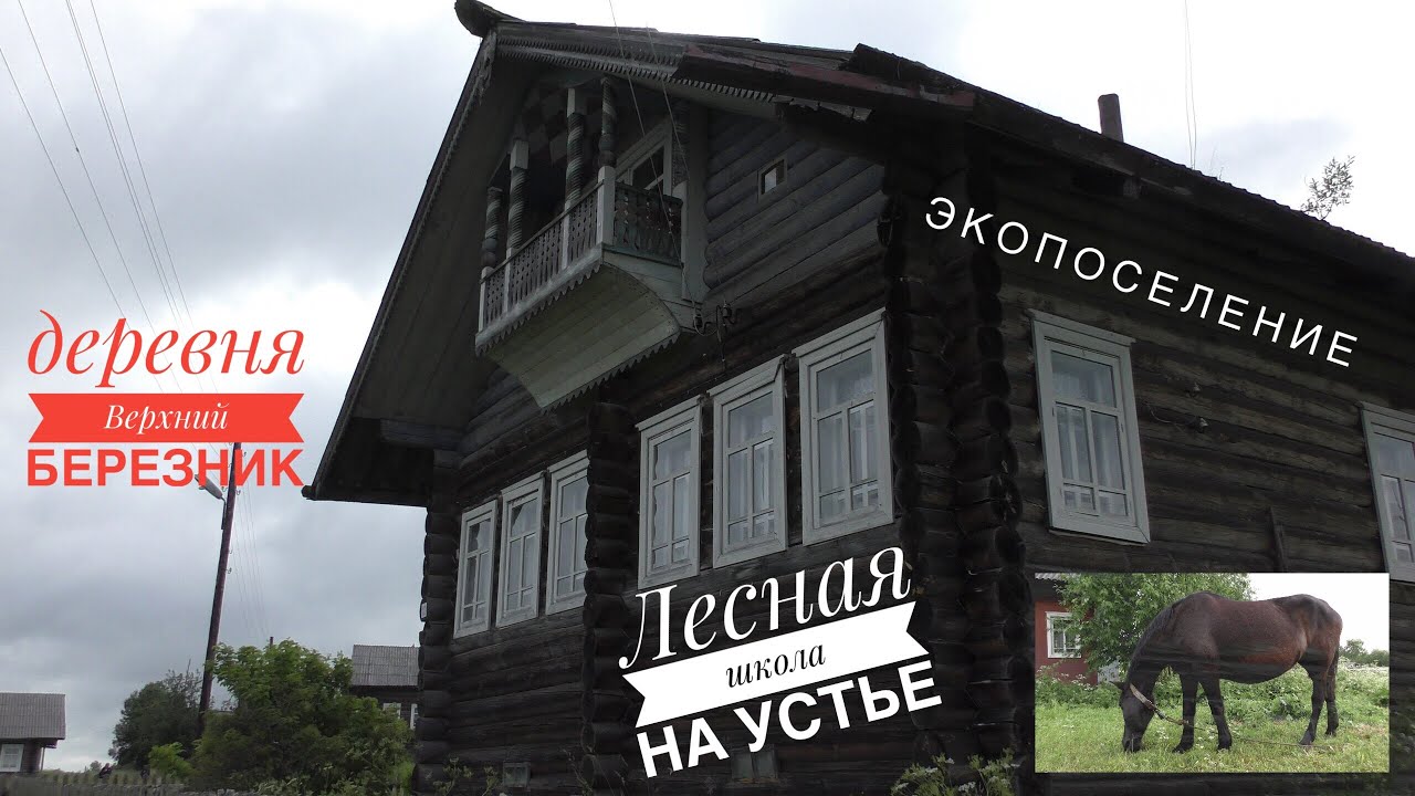 Ооо фаркоп устьянский район