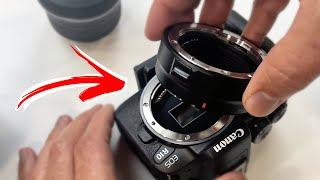 Canon EOS R10, R7 - MUST HAVE ACCESSORY! (EF-EOS R Mount Adapter)