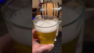 Wally’s Big Hoss light lager! #bourbon #alcoholreview #whisky #spiritsreview #beer #review #podcast