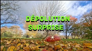 Grosse surprise #dépolution #détectiondemetaux