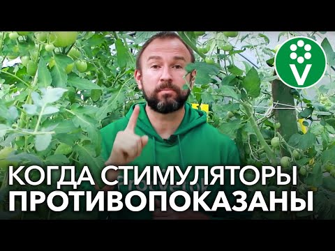 Видео: Как вы используете лиственное в предложении?