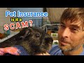 Nationwide pet health insurance  how to file a claim