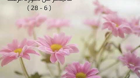 ماتيسر من سورة الرعد رعد الكردي