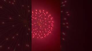 4 RED PEONY Display Shell