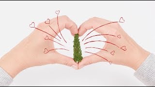 O Christmas Tree - Create Memories not Garbage 2018