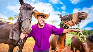 INFELIZMENTE TIVE QUE FAZER ISSO COM MEUS CAVALOS image