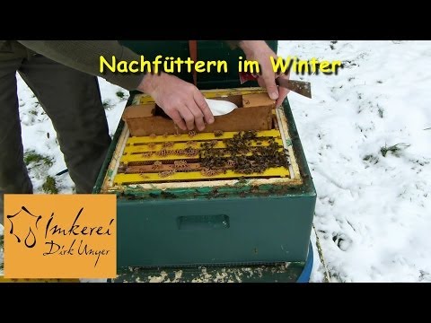 Video: Wie Man Bienen Im Winter Füttert