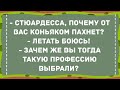 Лучшие смешные анекдоты для настроения!