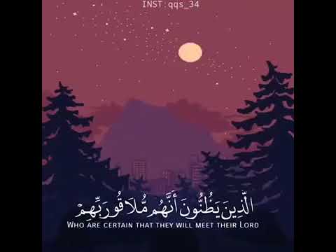 Qurani Ayat Whatsapp Status Islamic Whatsapp Status 2019 Youtube