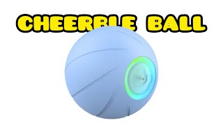 Чесний огляд мʼячика cheerble ball від професійного кінолога