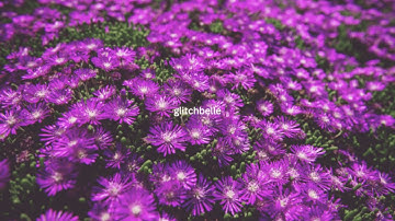 Rain Check for My Sanity (Official Music Video)