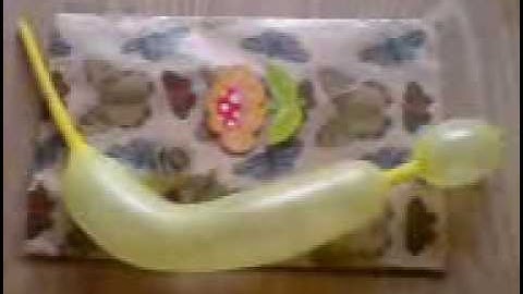 Morphogenetic Fields