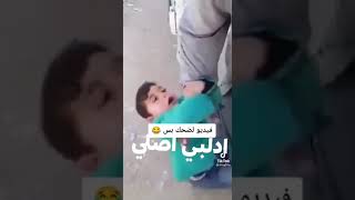 ادلبي اصلي