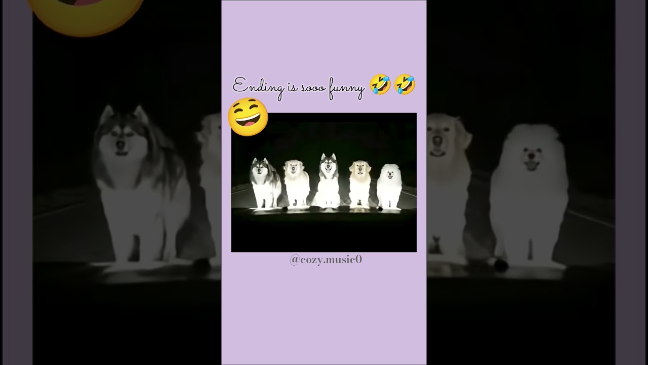 ending was unexpected JUTTI MERI 