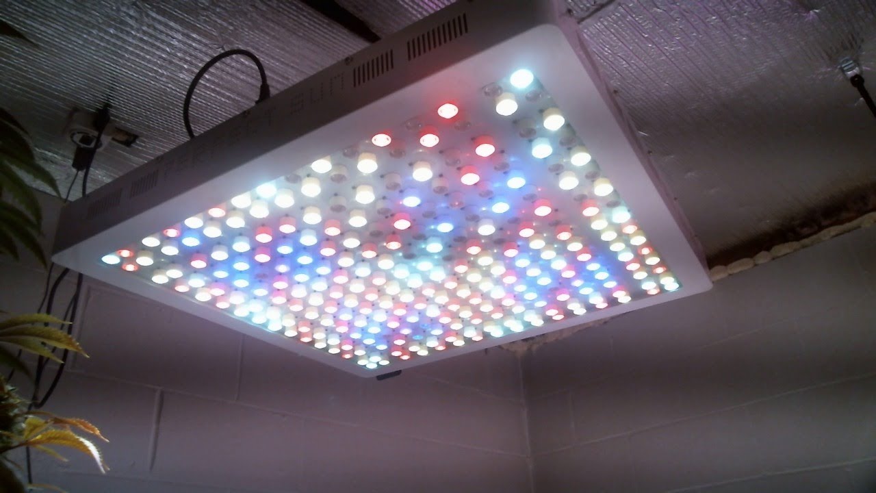 Perfect Sun Goliath: 2 year warranty NEW Driver Installation