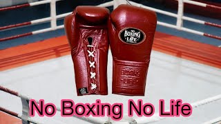 No Boxing No Life Gloves Review | Are They Worth the Hype? (Full Breakdown)