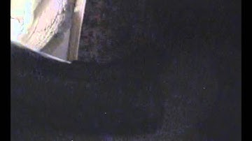 Binnenkomst paartje Gierzwaluwen observatiekast F