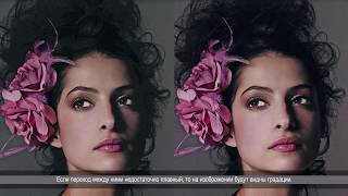 Epson SureColor S -- PrecisionCore TFP