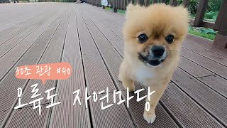 오륙도스카이워크 영상