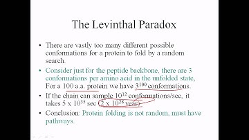 Levinthal paradox