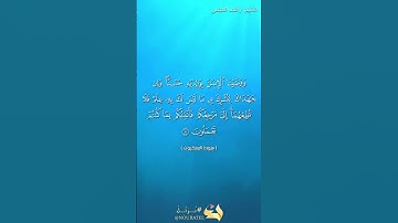 تلاوة القرآن الكريم مكتوبه بصوت الشيخ(أحمد العجمي سورة العنكبوت )