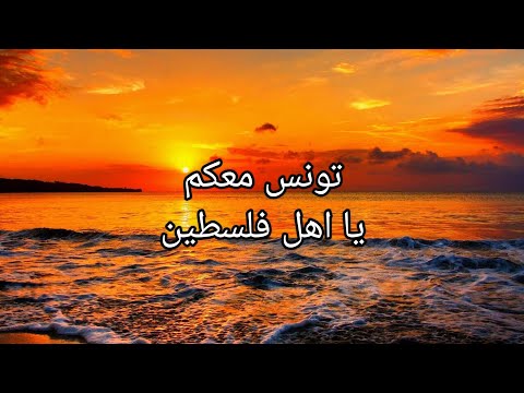 تونس معكم يا اهل فلسطين
