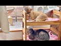 『今年ももう6月だねえ』『6月ですねえ』