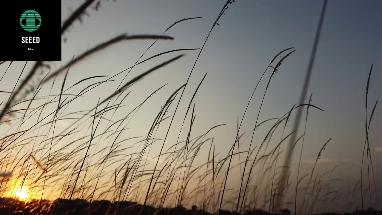 Wind Gust 2 Copyright free Royalty free Soundtracks YouTube Wind gust 2 copyright free royalty free soundtracks youtube