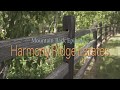 LOOKING BACK AT OUR FIRST SPLIT-RAIL FENCE PROJECT AND A FEW INSTALL TIPS (MOUNTAIN BARK EPISODE 5) LOOKING BACK AT OUR FIRST SPLIT-RAIL FENCE PROJECT AND A FEW INSTALL TIPS (MOUNTAIN BARK EPISODE 5)
