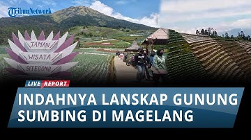 Menikmati Indahnya Lanskap Terasering Berlatar Gunung Sumbing di Desa Wisata Sukomakmur Magelang