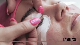 Lashbase Lash Lift Shield Placement