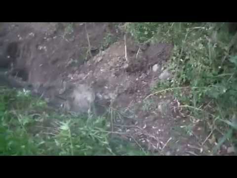 9 8 2017 Digging A Drainage Ditch