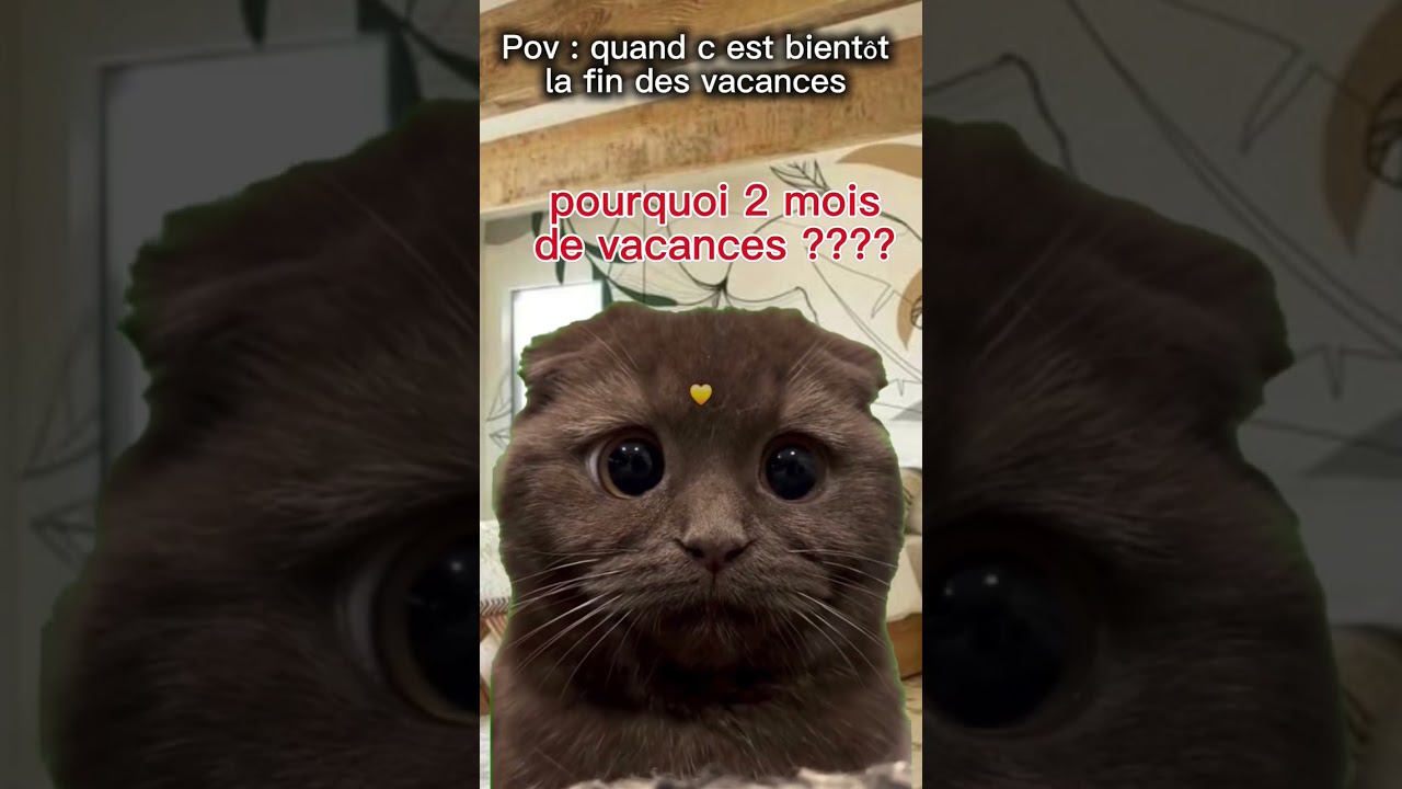 Pov : quand c est bientôt la fin des vacances 2025 