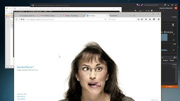 Adobe Flash and UI Automation Crash Bug with Firefox - Demonstration