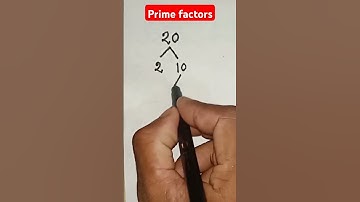 prime factors #maths #youtubeshorts #foryou