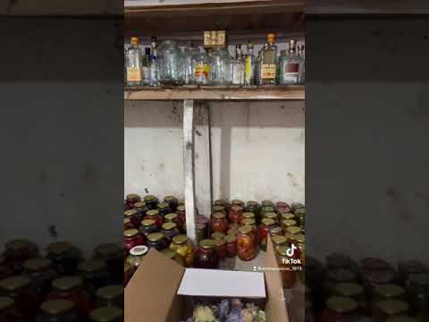 Служу трудовому народу