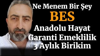 Ne Menem Bir Şey BES Devlet Katkısı Fon Getirisini Geçer Mi? Anadolu Hayat ve Garanti Emeklilik