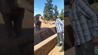 Wildlife Park Jos; Plateau State, Nigeria