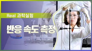 반응 속도 측정 l Real 과학 실험