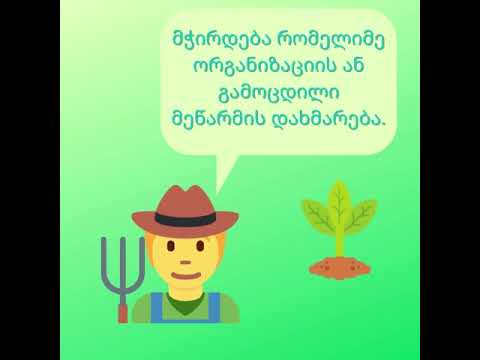 სასათბურე მეწარმეები