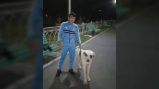 Кавказ 2016