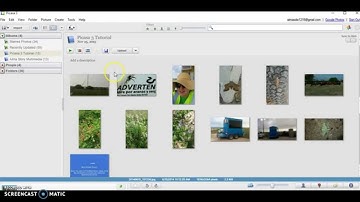 Picasa 3 Tutorial