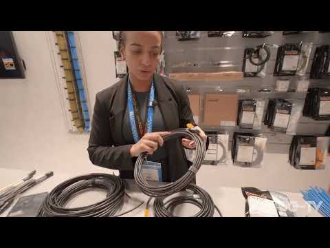 KORZT - Flor ISE 2025