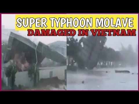 SUPER TYPHOON MOLAVE IN VIETNAM