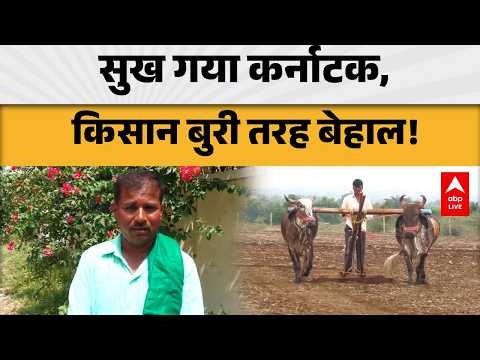 FARMERS PROTEST: सुख गया कर्नाटक, किसान बुरी तरह बेहाल! ABPLIVE