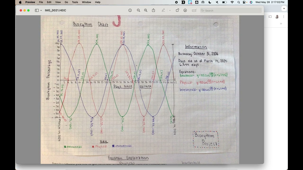 Biorhythm Explanation