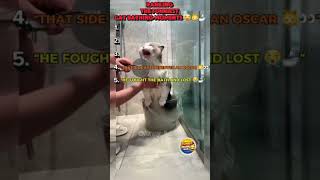 RANKING THE FUNNIEST CAT BATHING MOMENTS 😂🐱🛁 #funny #cat #funnyanimals